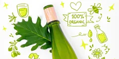 Empco Richtlinie: Grüne Glasflasche mit Korken auf einem Eichenblatt, umgeben von handgezeichneten grünen Symbolen für Bio-Qualität – Herz, Biene, Kamille, Recycling-Zeichen und '100% Organic'-Banner, auf weißem Hintergrund.