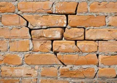 articleimage
